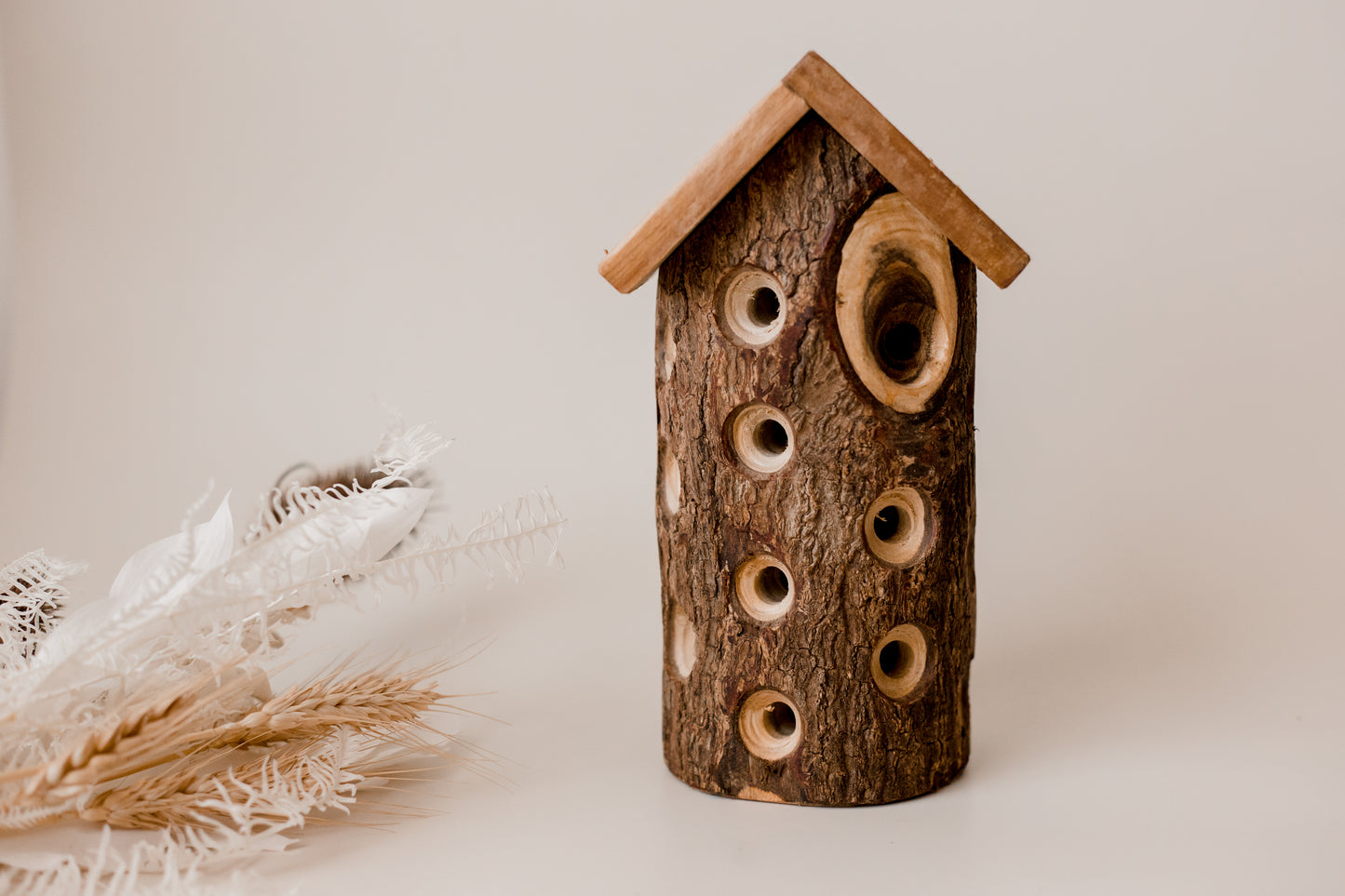 Wooden Beetle House