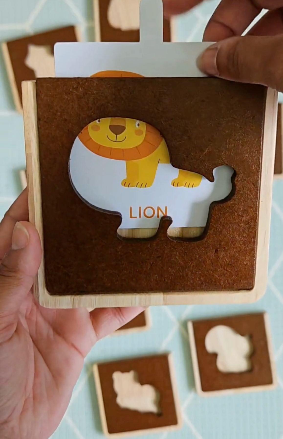 כרטיסיות בעלי חיים - Qtoys