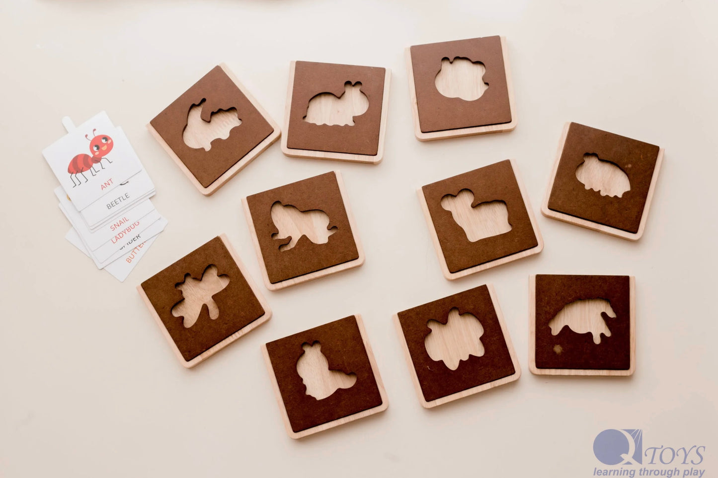 כרטיסיות חרקים - Qtoys