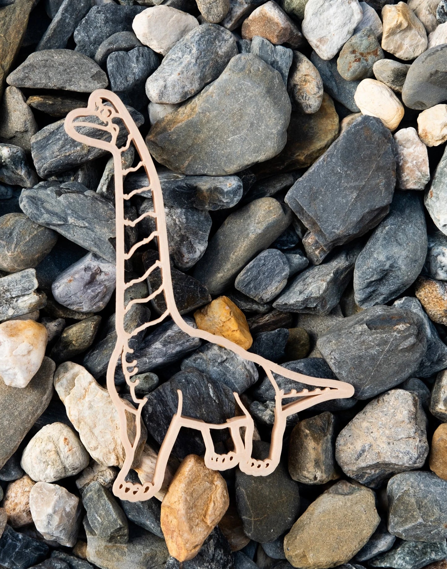 חותכן לבצק משחק - דיפלודוקוס - Kinfolk Pantry