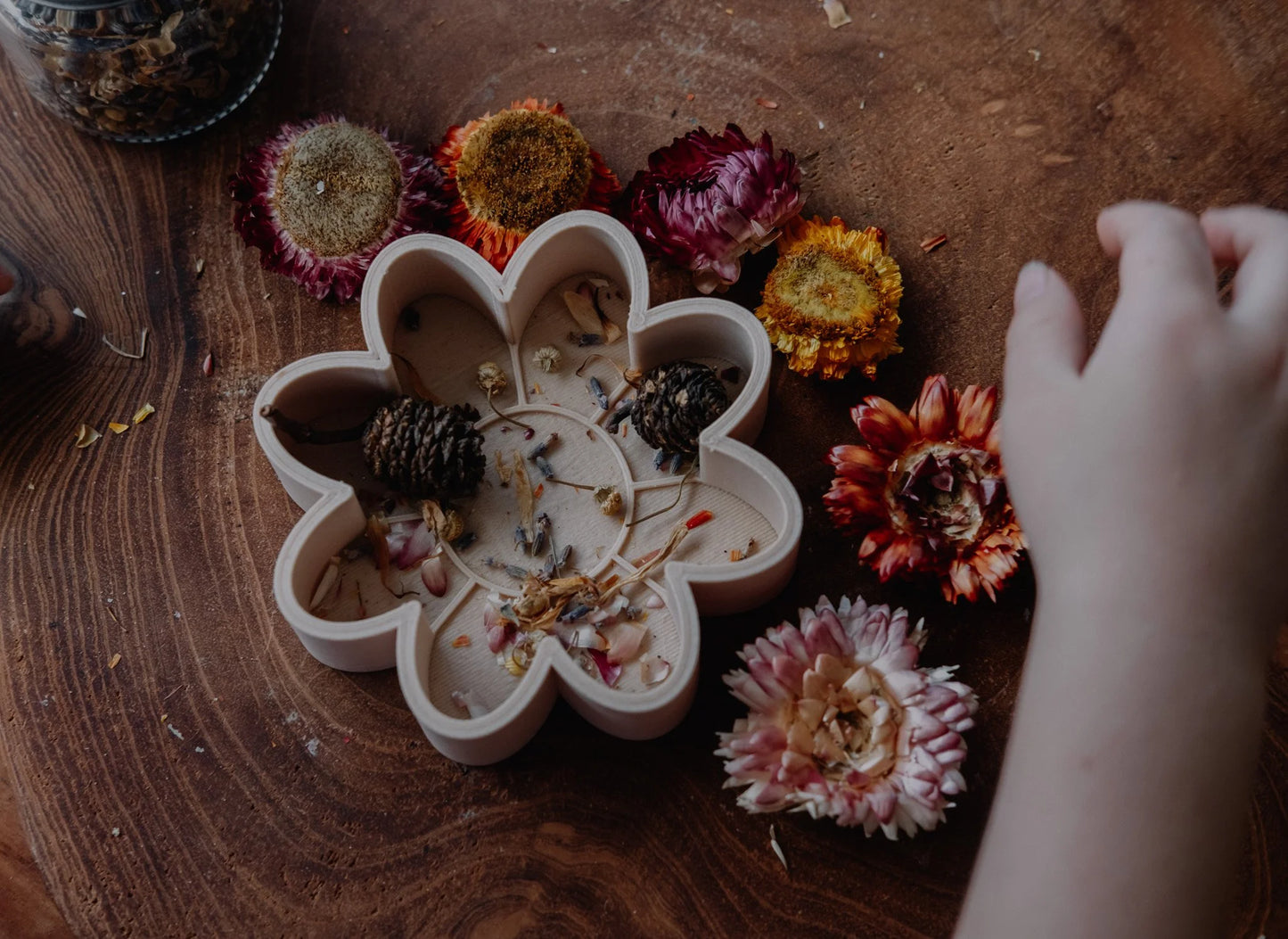 תבנית לפעילות סנסורית - פרח - Kinfolk Pantry