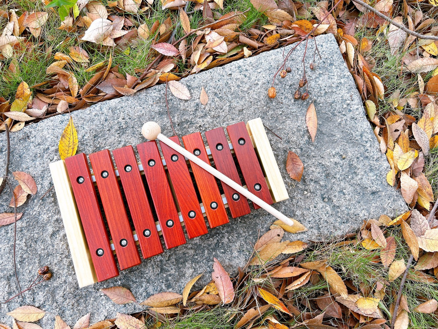 קסילופון לילדים - 8 תווים - PlayMe