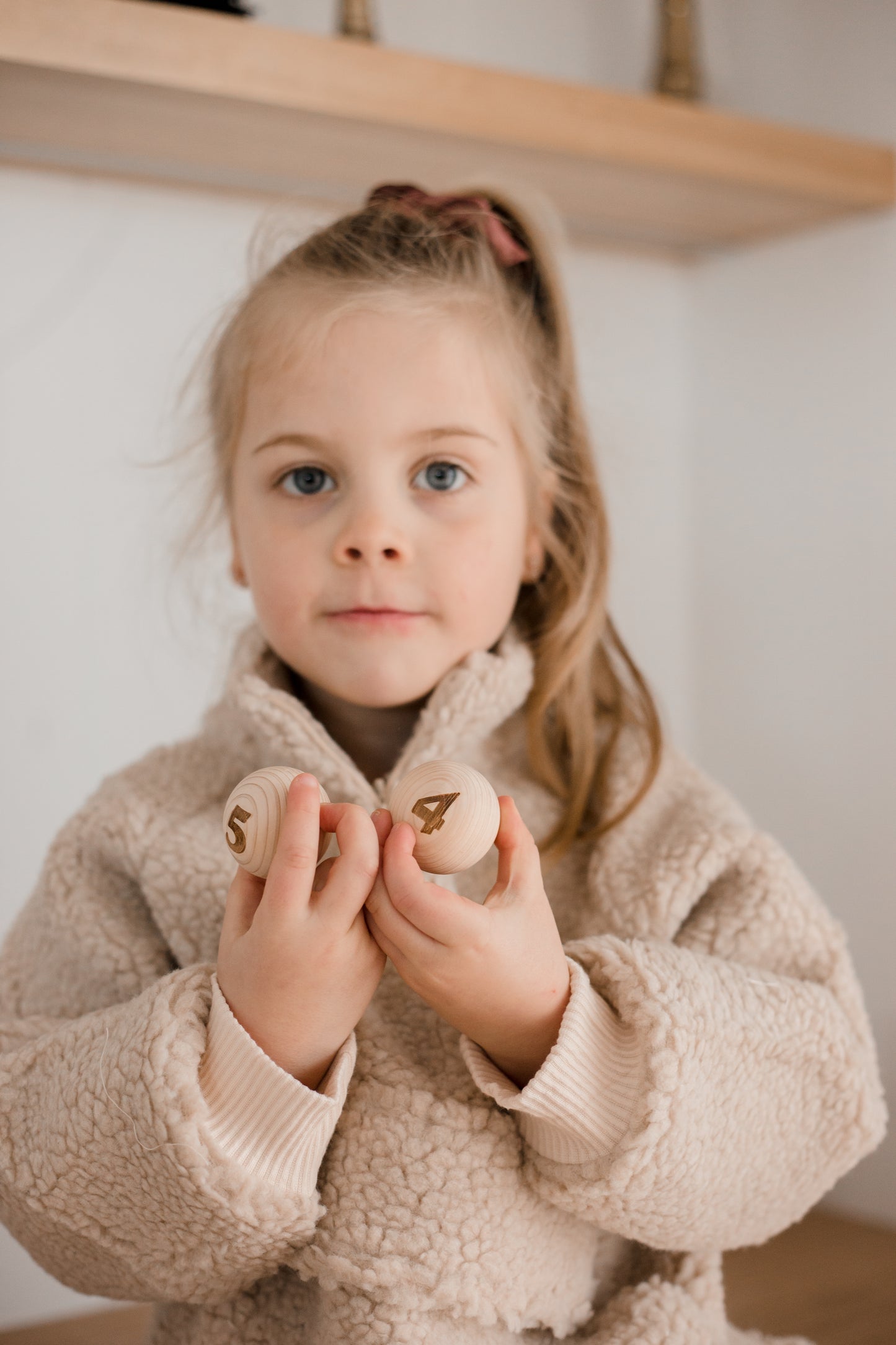 Numbered Wooden Eggs Mold
