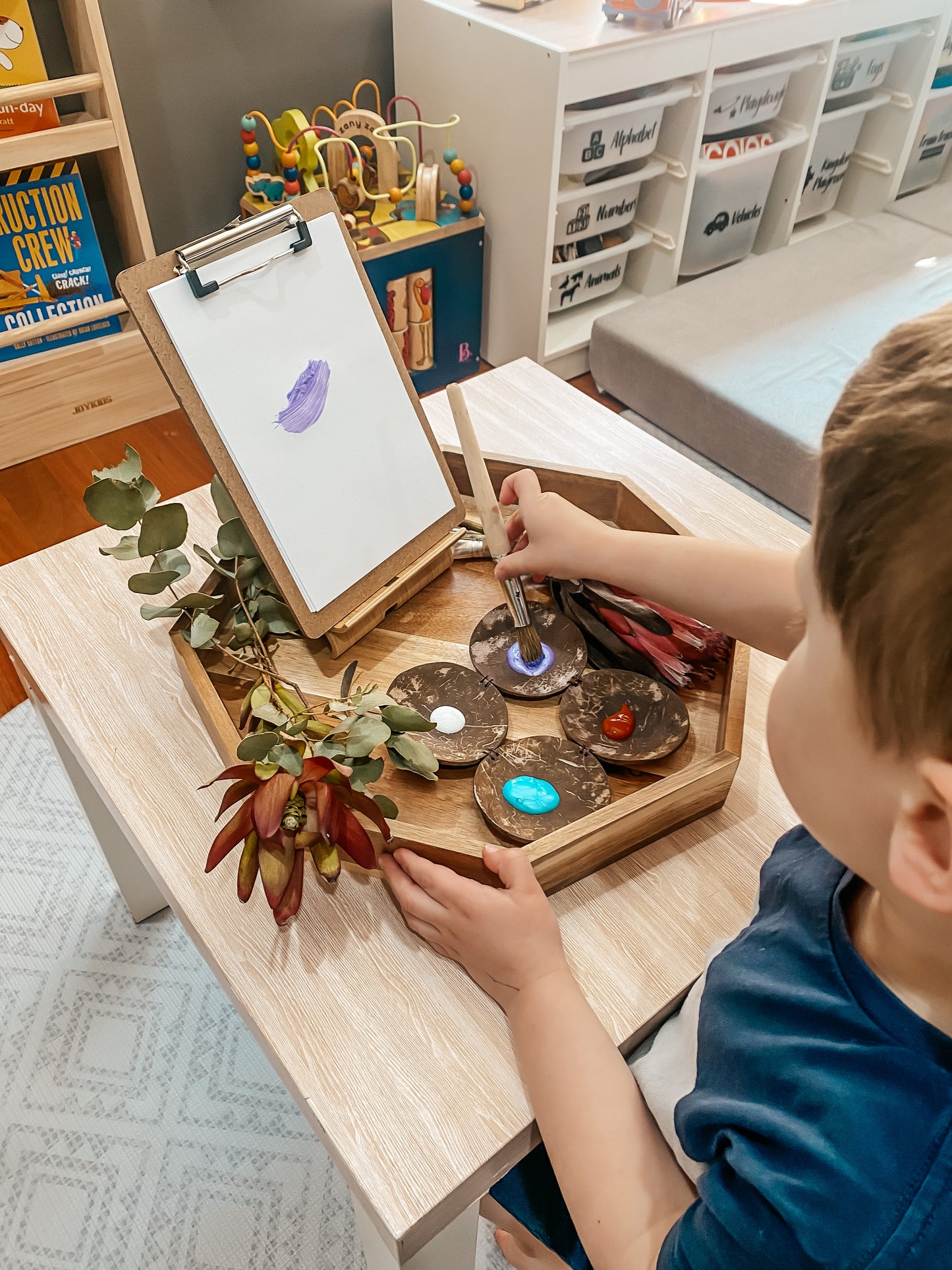 פלטה לצבעי מים מקוקוס - Qtoys