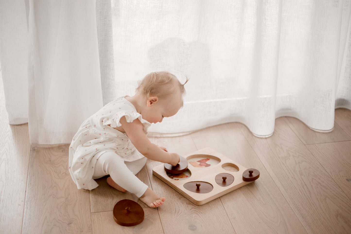 פאזל מחזור חיים של תרנגולת - Qtoys