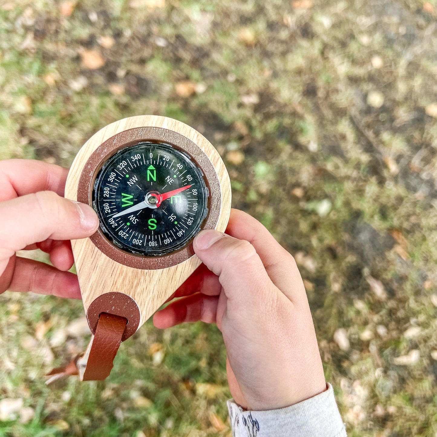 מצפן מעץ - Qtoys