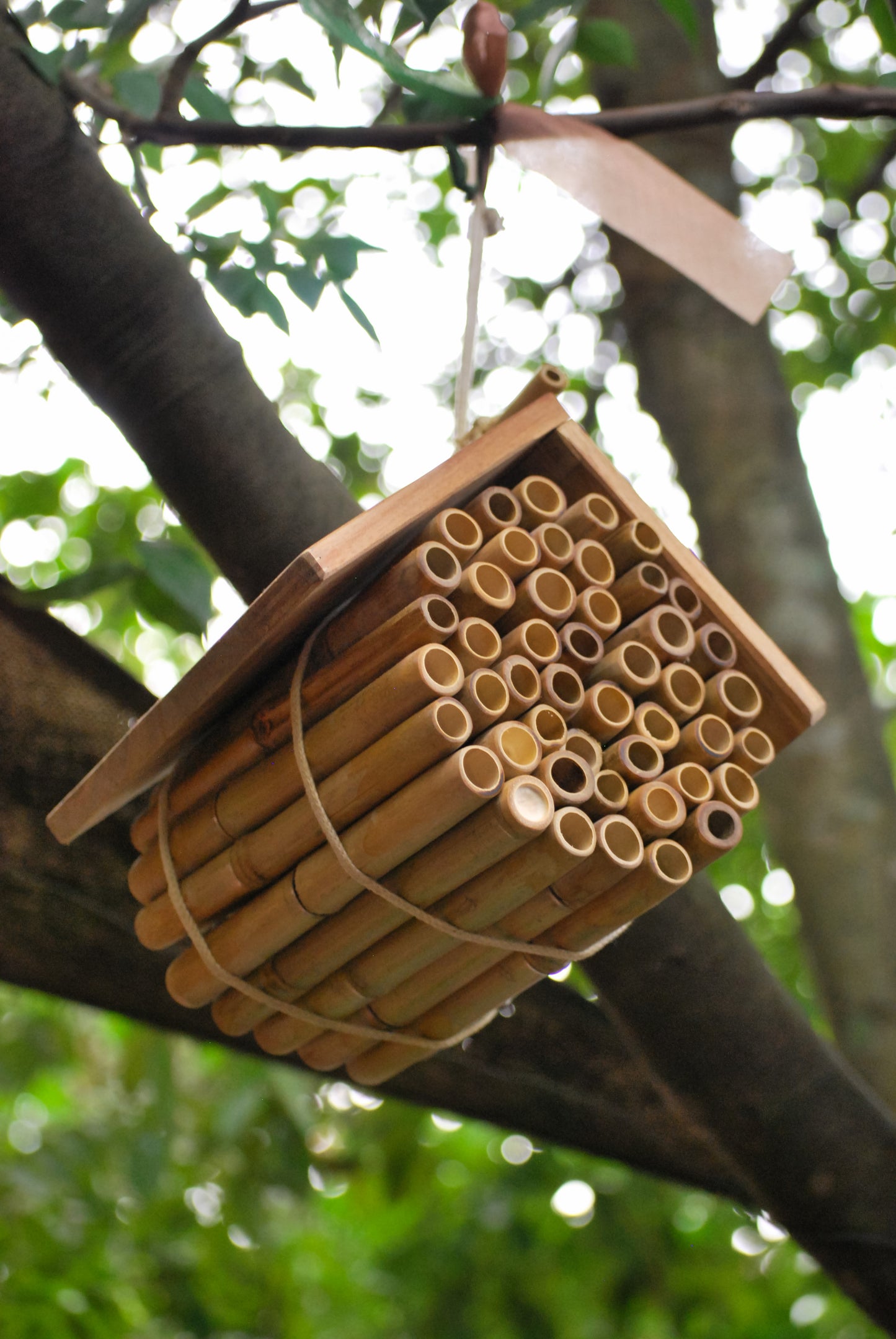 Wooden Beehive for Hanging