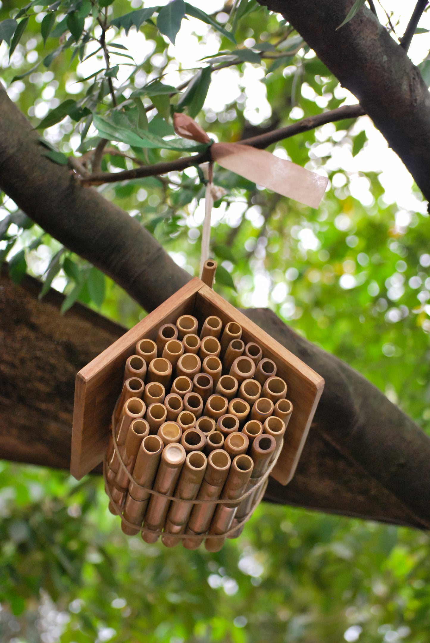 Wooden Beehive for Hanging