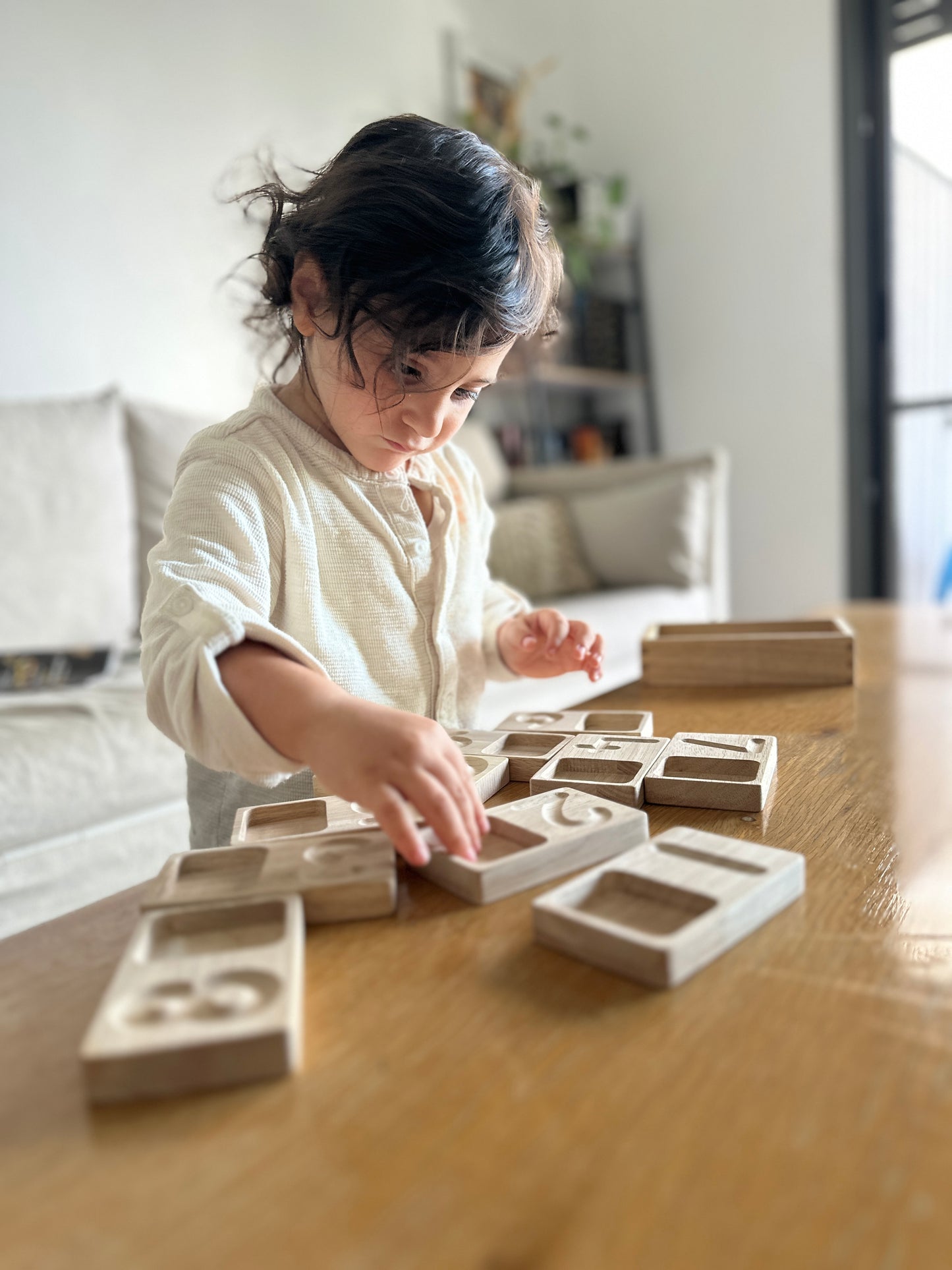 Sensory and Counting Boards