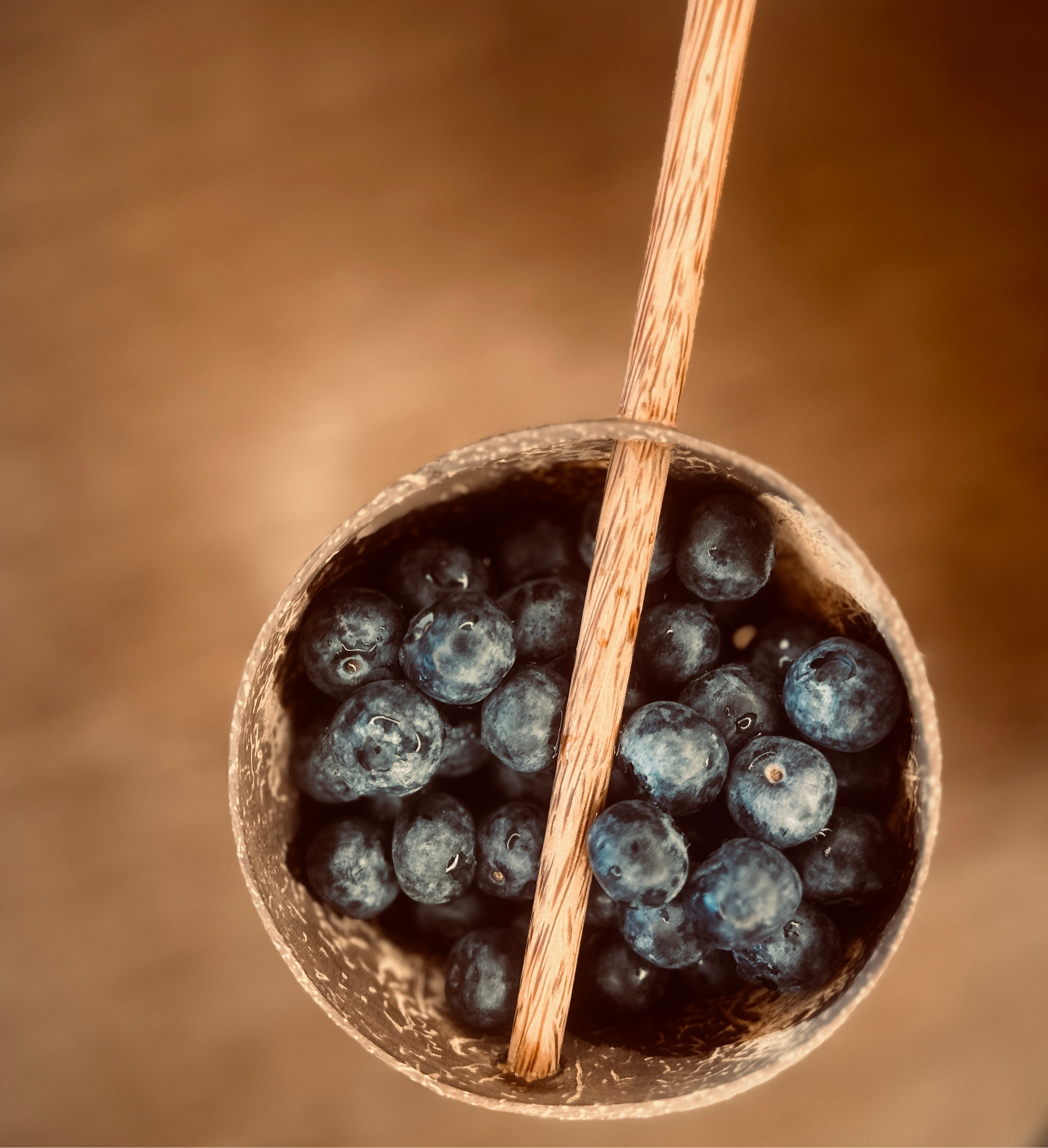 Wooden Strainer Spoon