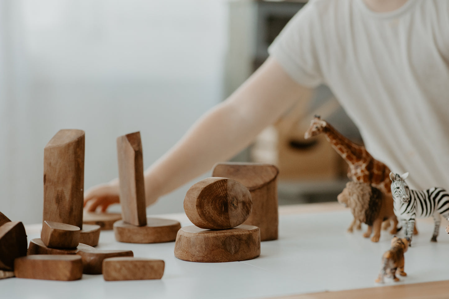 Natural Wooden Blocks