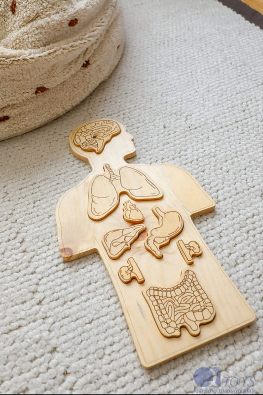 Wooden Organs Puzzle