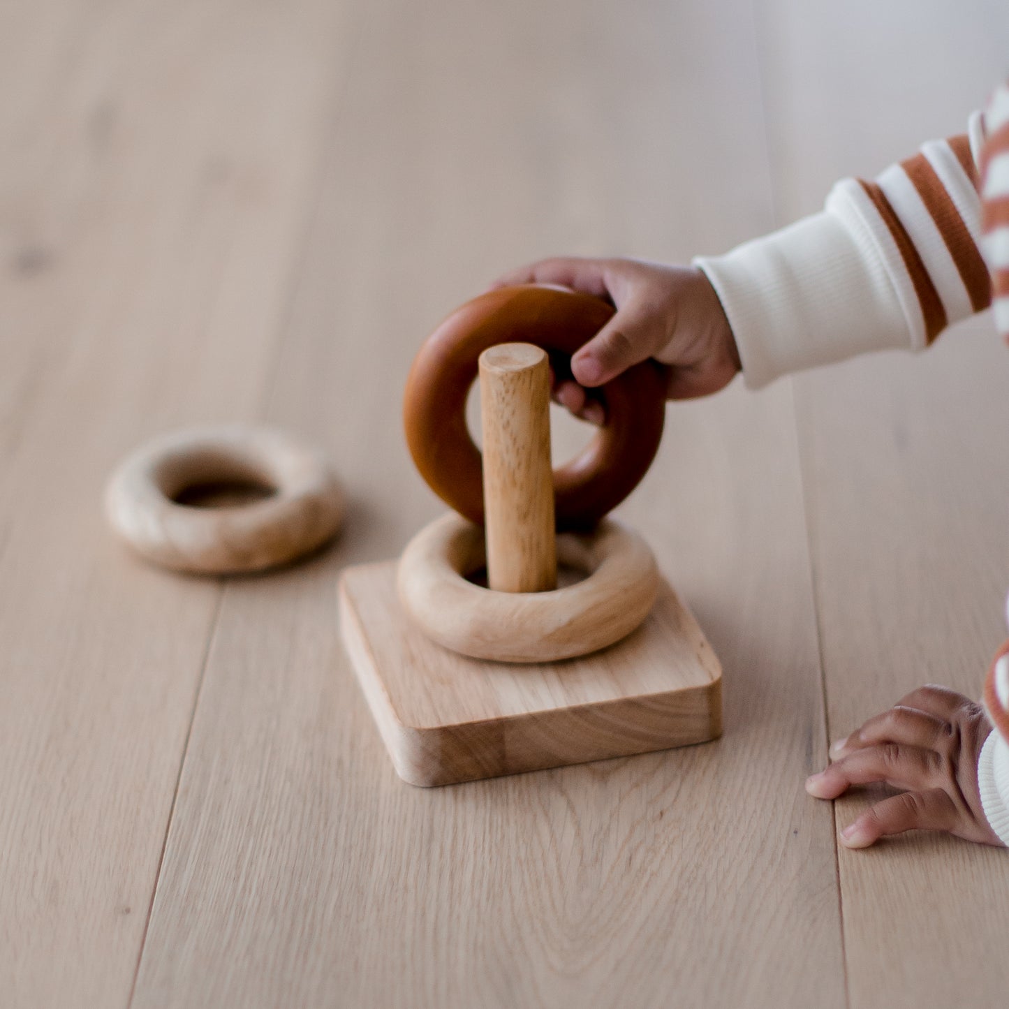 Montessori Stacking Rings