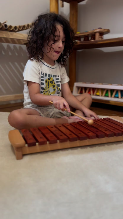 קסילופון מעץ 12 תווים - PlayMe